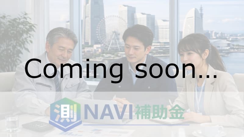 測NAVI補助金